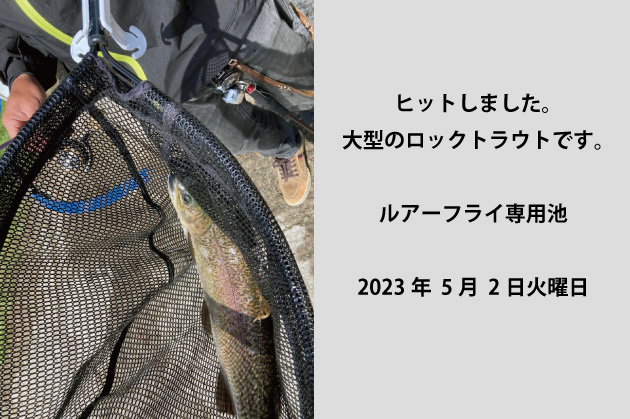 2023年05月02日大型のロックトラウト、釣りあげました。