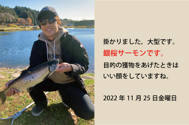 2022年11月25日サクラマス銀桜、掛かりました。