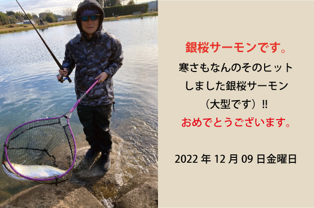 2022年12月09日ヤシオマス、3倍体です。