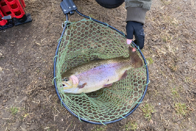 ルアーフライ専用池"