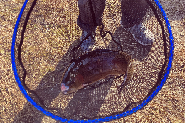 ルアーフライ専用池"